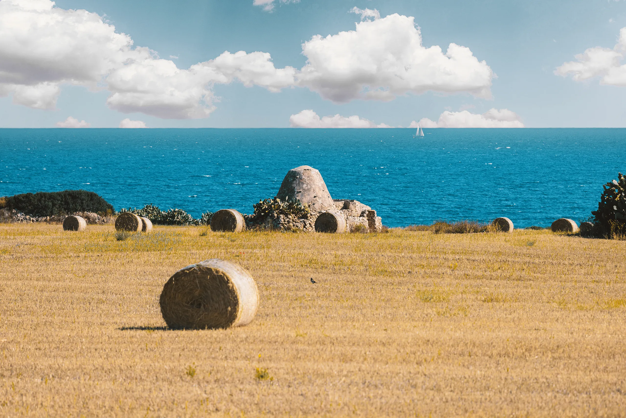 Vivere Vitria significa abitare la Valle d'Itria tra natura, design e benessere quotidiano.